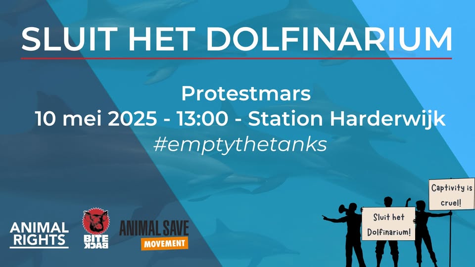 Loop zaterdag mee in de protestmars tegen het Dolfinarium!