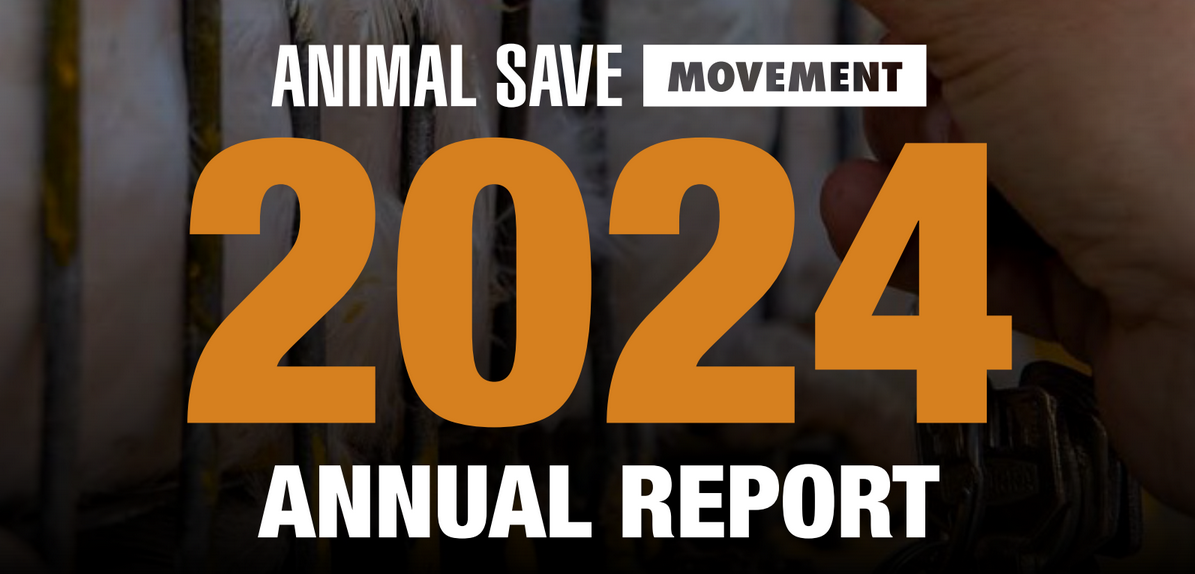 header-annual-report-24