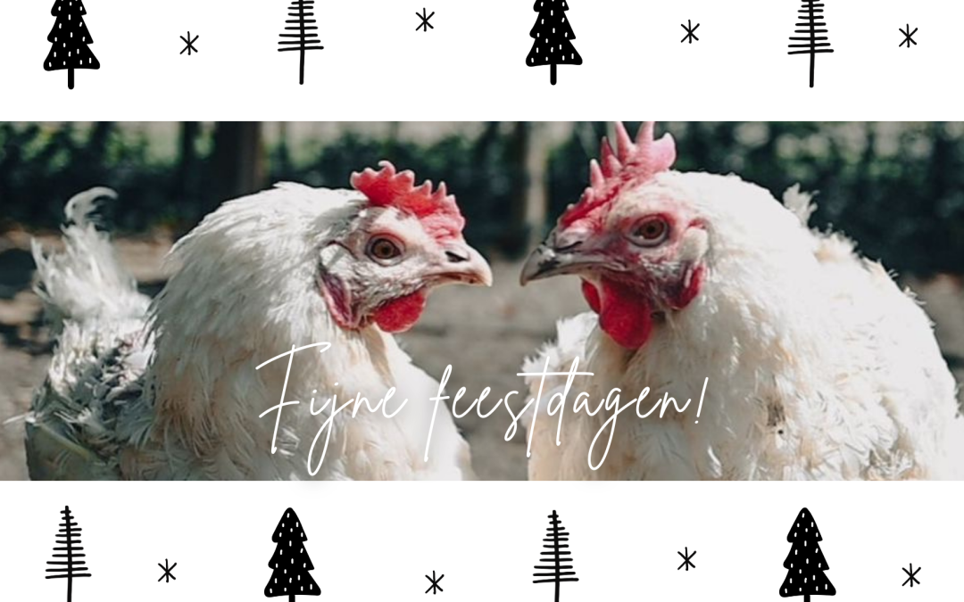 Wij zijn jarig – Kerstkaarten met een verhaal