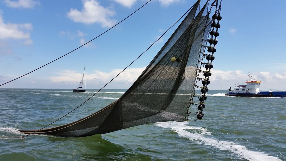 29 maart Utrecht: World Day for the End of Fishing
