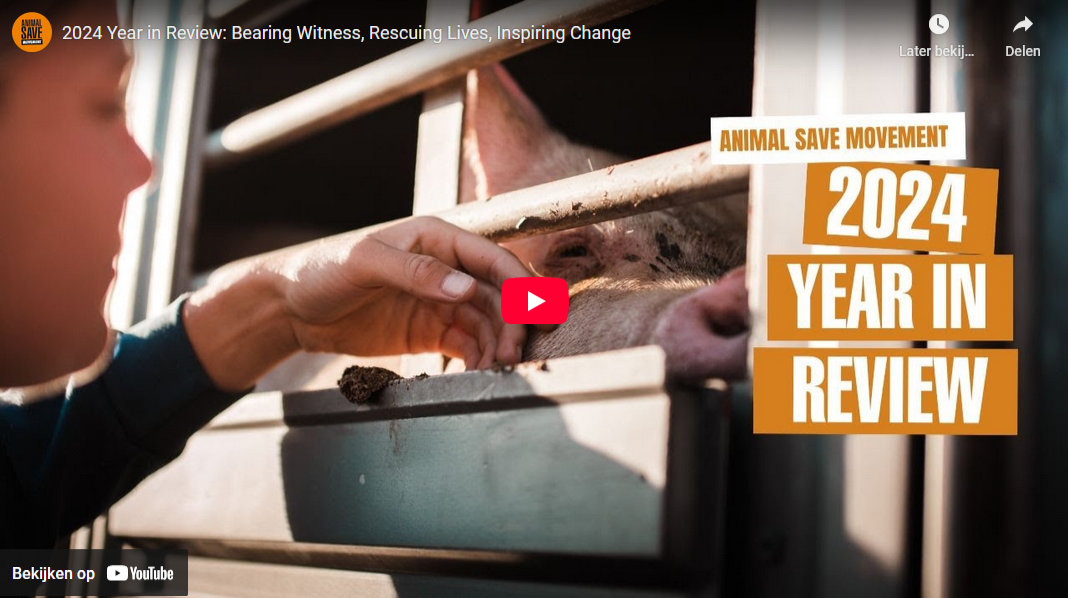 yt-screenshot-year-in-review-2024 Bekijk hoogtepunten op YouTube